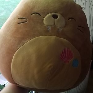 Bruce 12" Squishmallow NWT